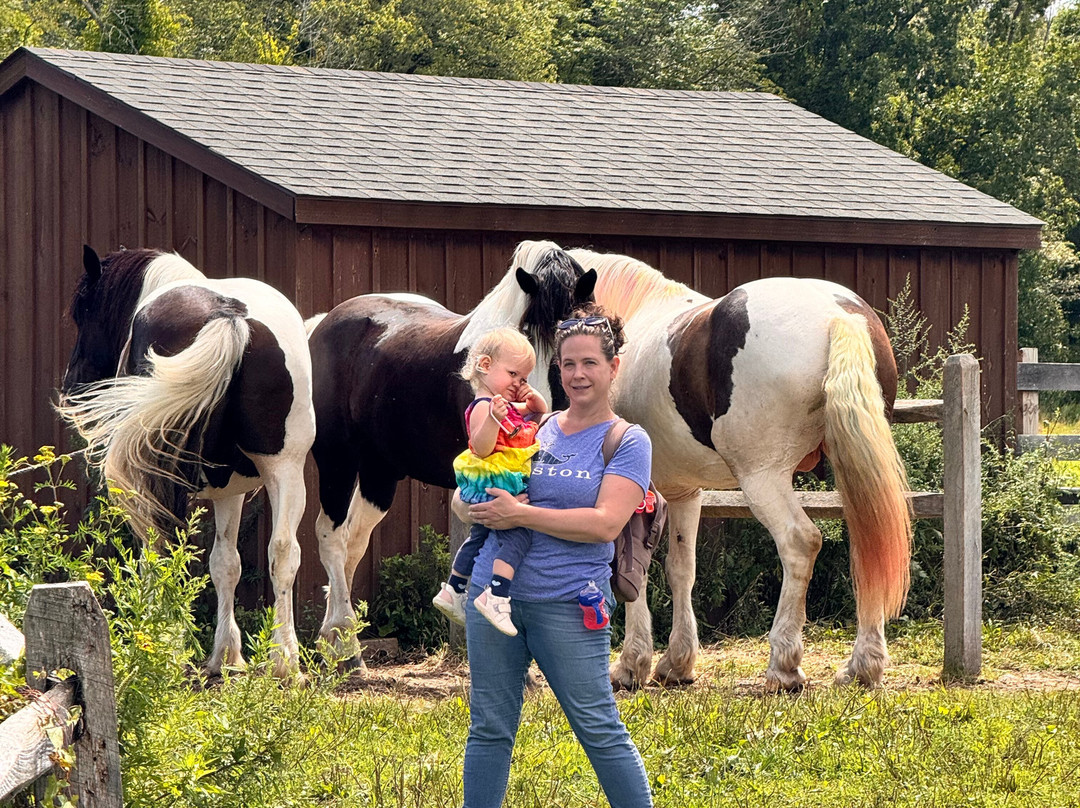 Blue Iris Farm-Lebanon必去景点