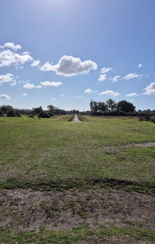 新森林国家公园-林德赫斯特必去景点