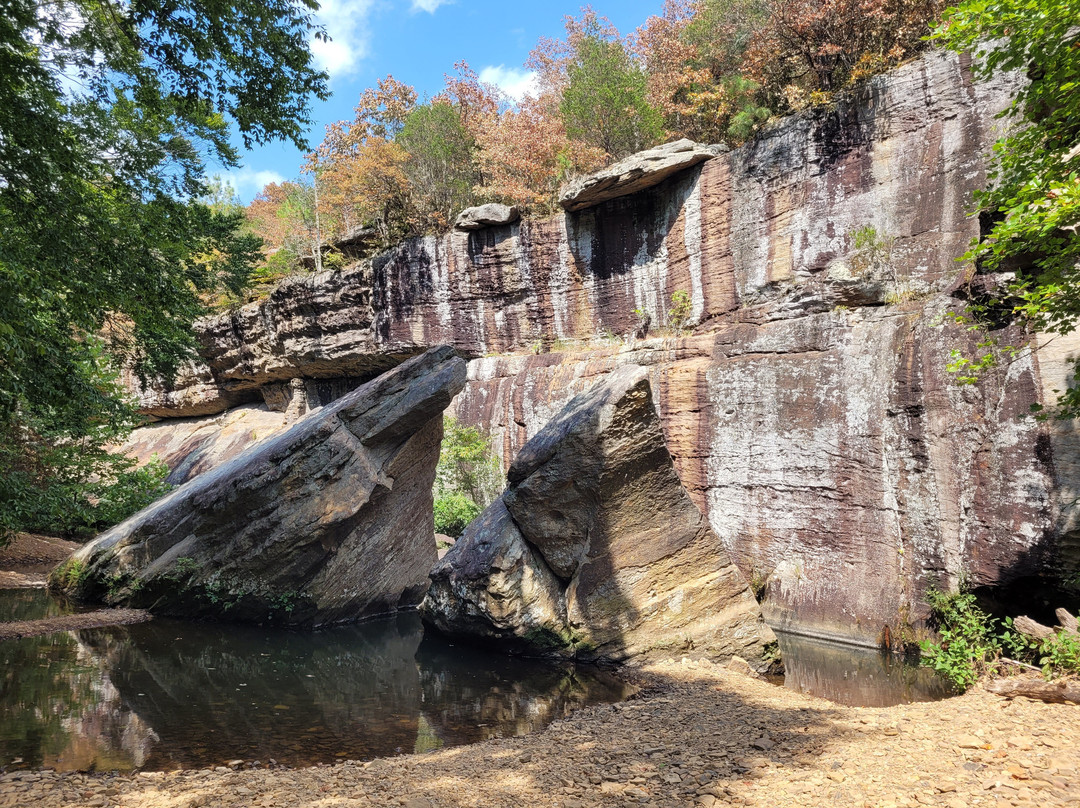 Bell Smith Springs-Ozark必去景点