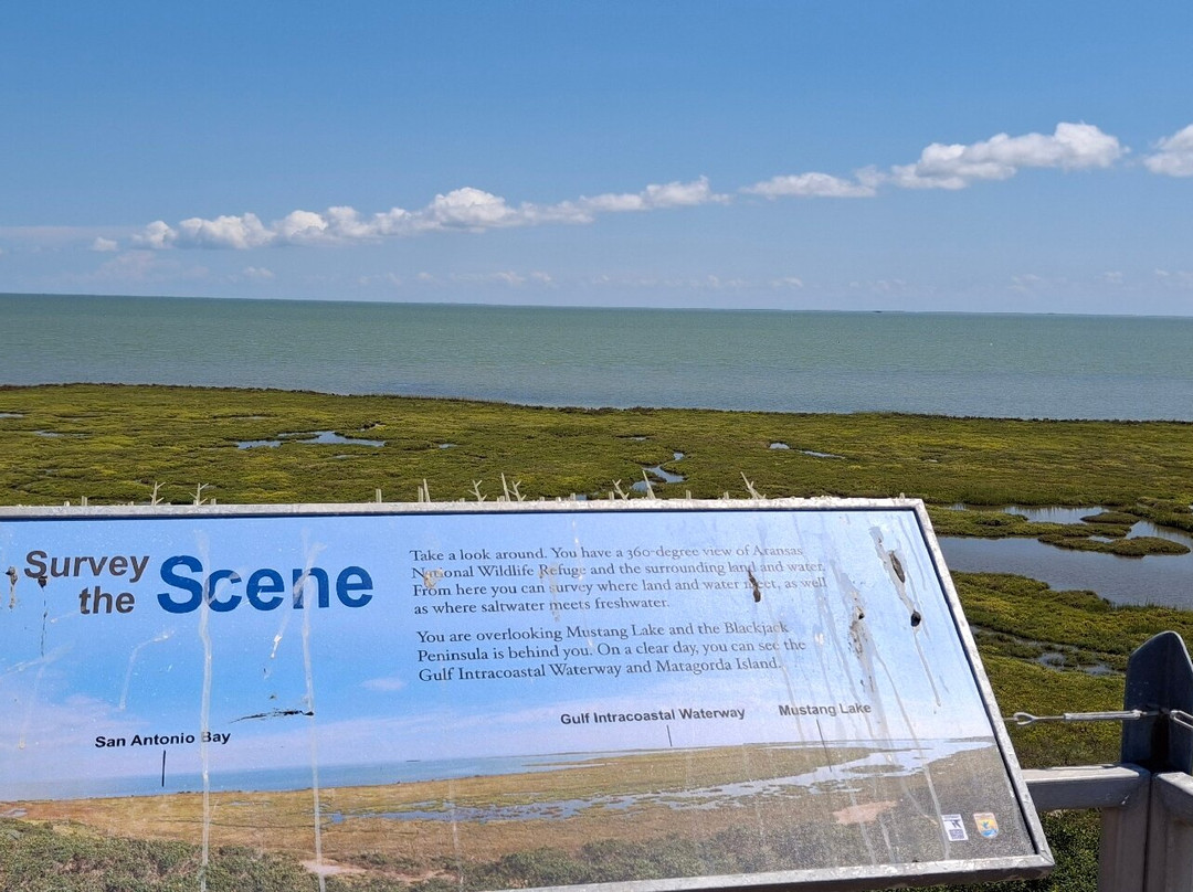 Aransas National Wildlife Refuge-Austwell必去景点