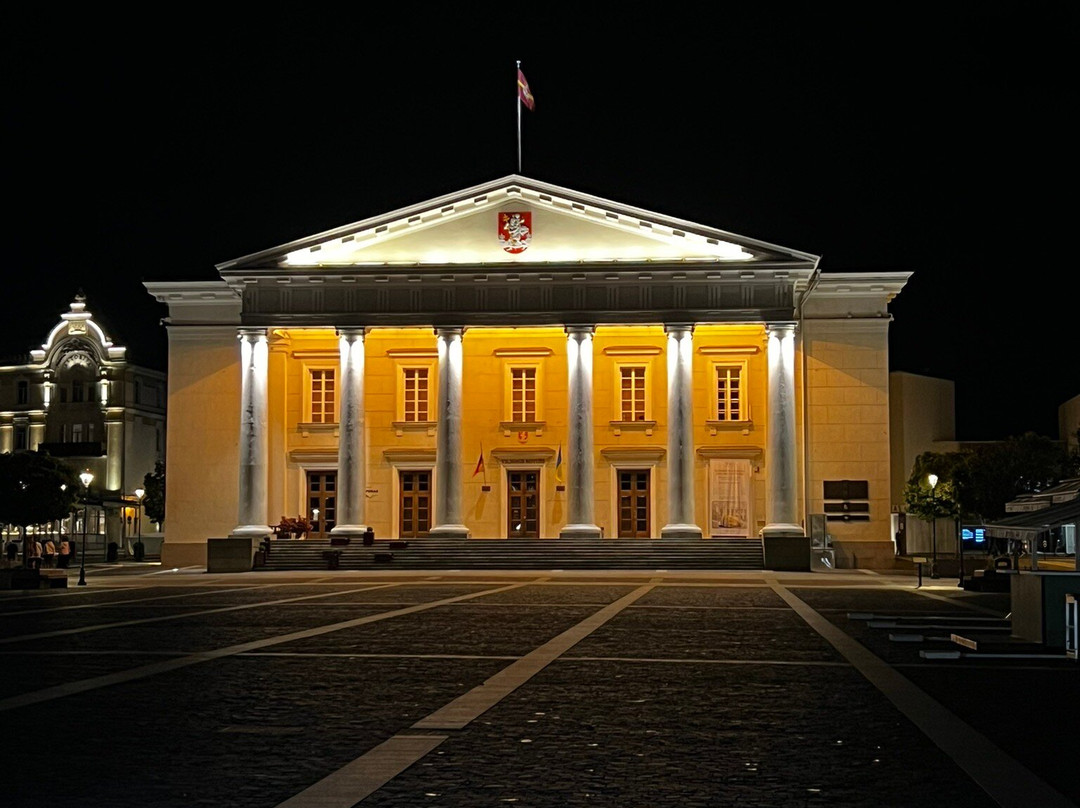 Town Hall (Rotuse)-维尔纽斯必去景点
