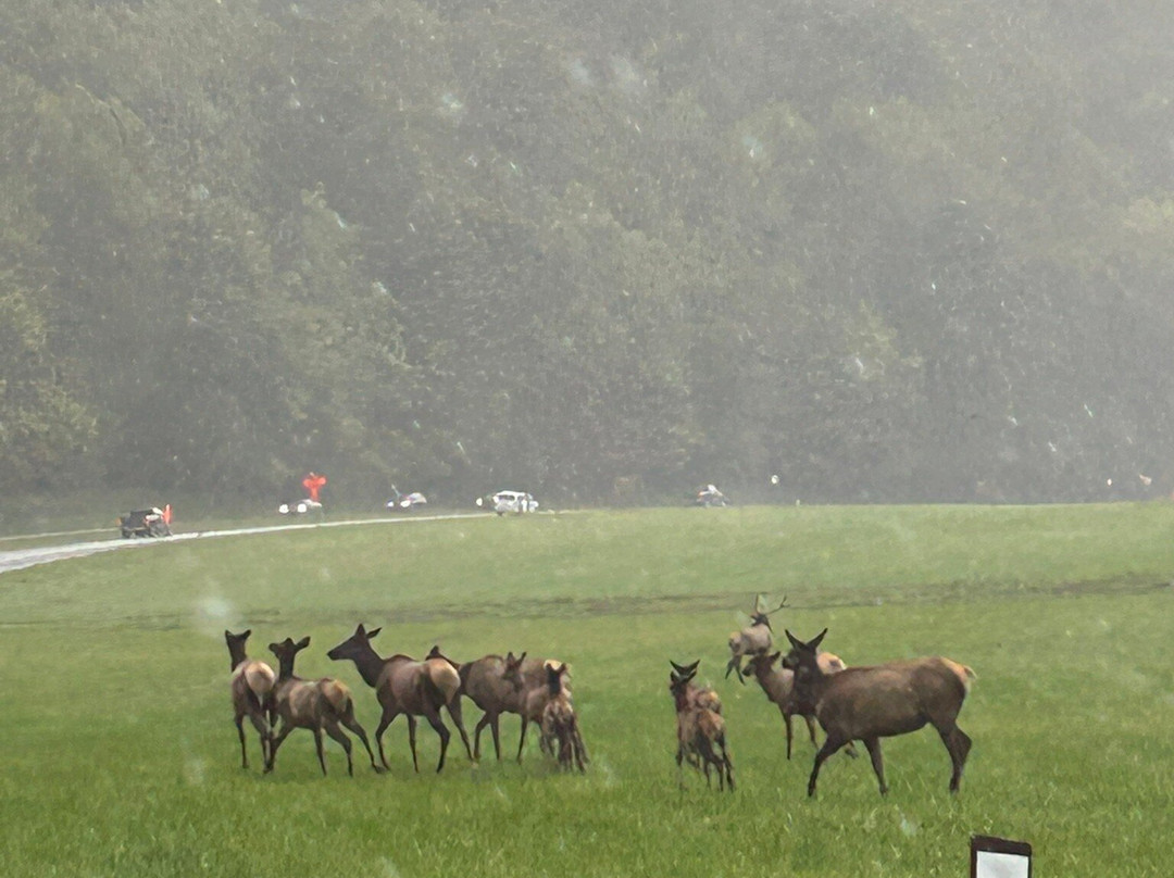 Super 8 by Wyndham Cherokee主图