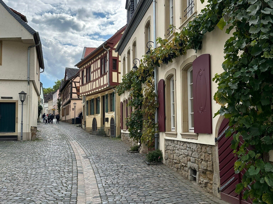 Altstadt Meisenheim-Meisenheim必去景点