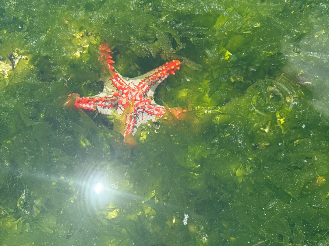 Zanleisuretours & Safaris-桑给巴尔市必去景点