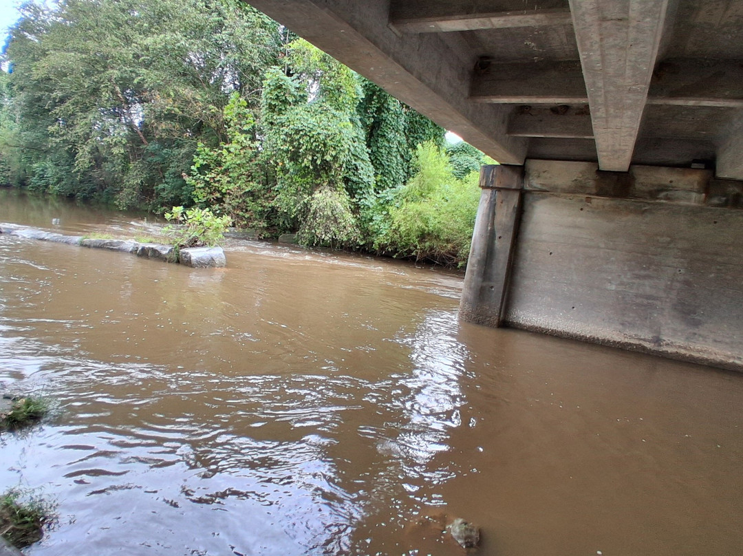 Pilot Mountain State Park-Pinnacle必去景点