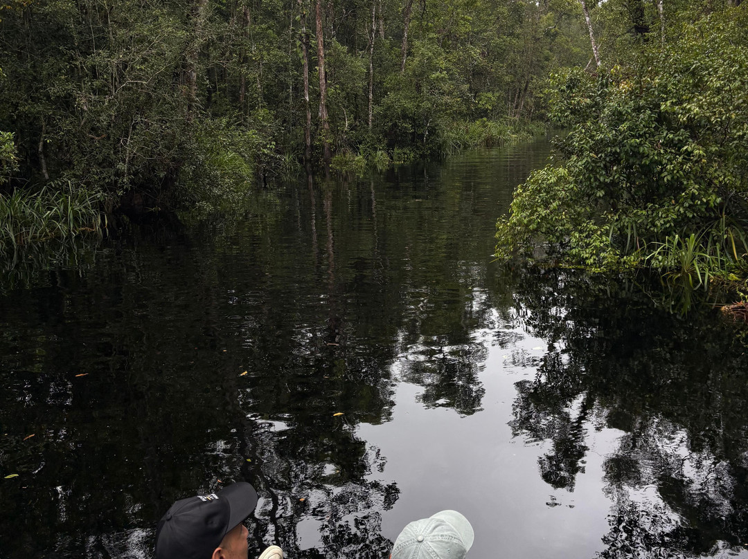 Borneo Eco Tour-Pangkalan Bun必去景点