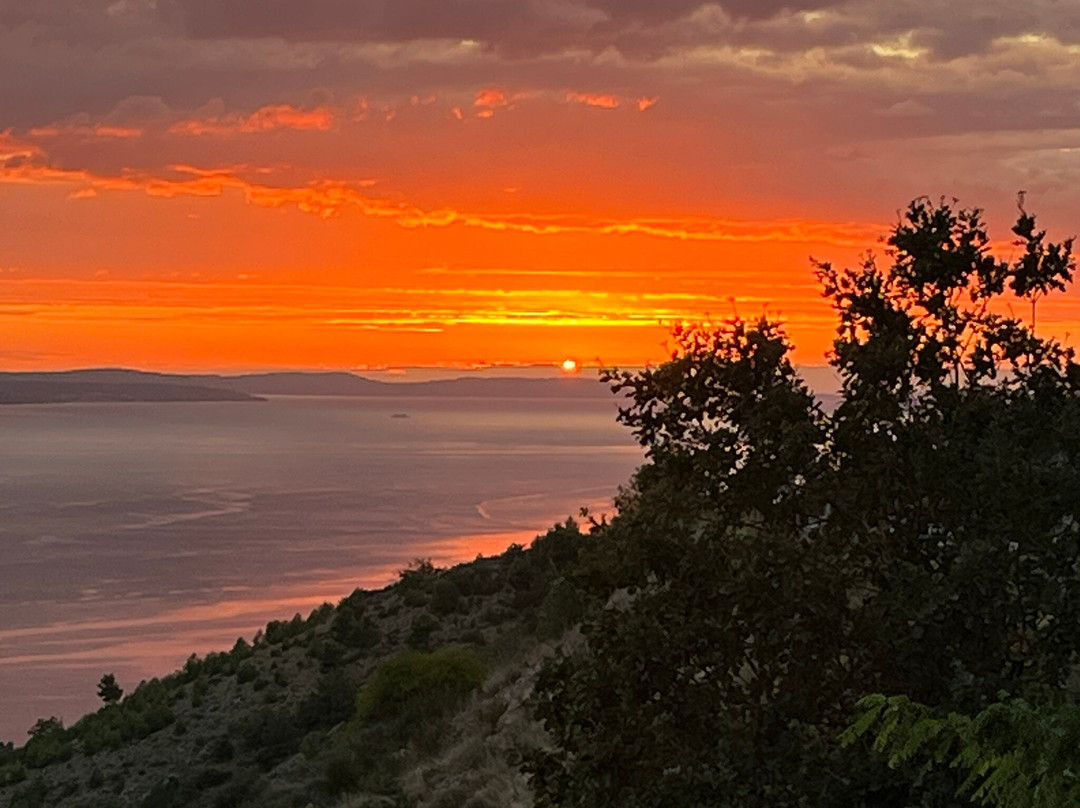 BEREKIN - Craft Beer and Local Food