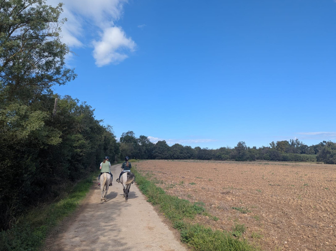 Cal Robusto Turisme Eqüestre