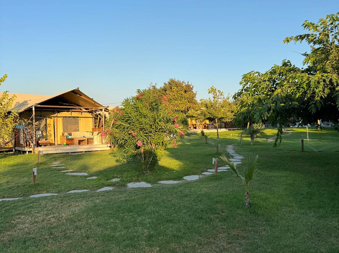 Surf and Kite Theologos-Theologos必去景点