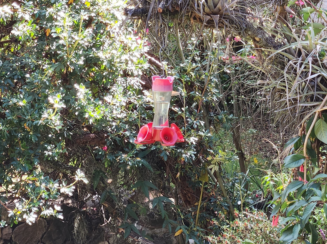 Auri Peru Travel-库斯科必去景点