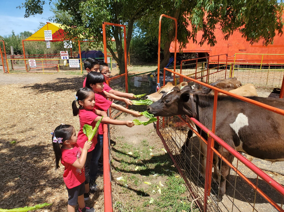 Green Meadows Farm (Queens)