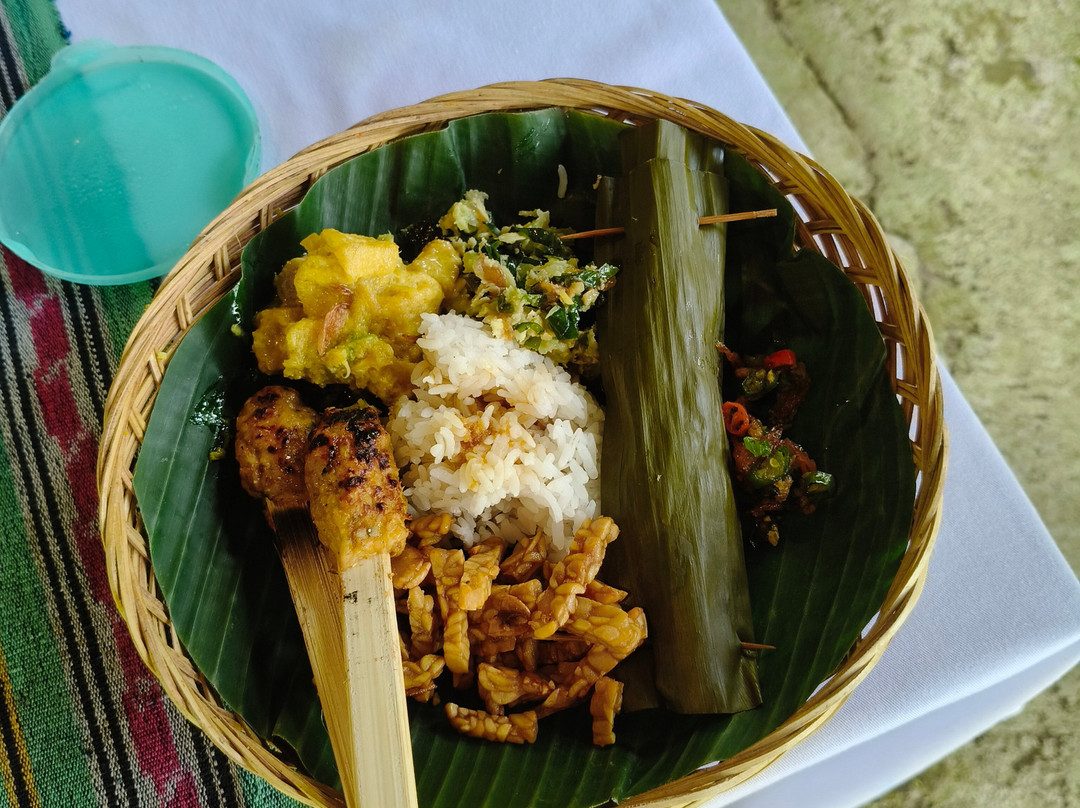 BALI PURE TOUR-Manukaya必去景点