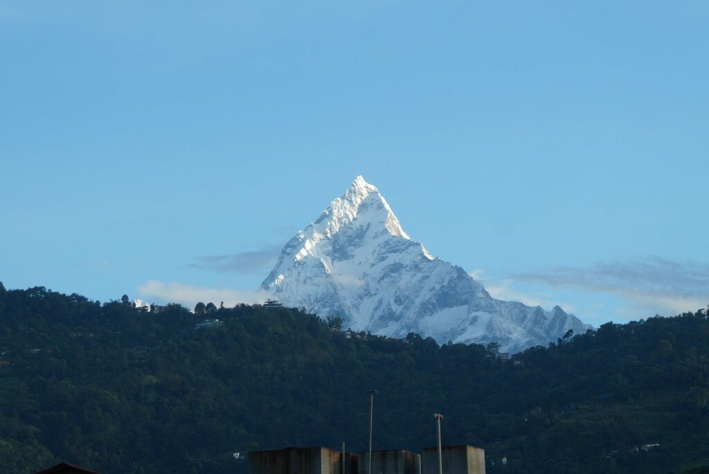 Bar Peepal Resort主图