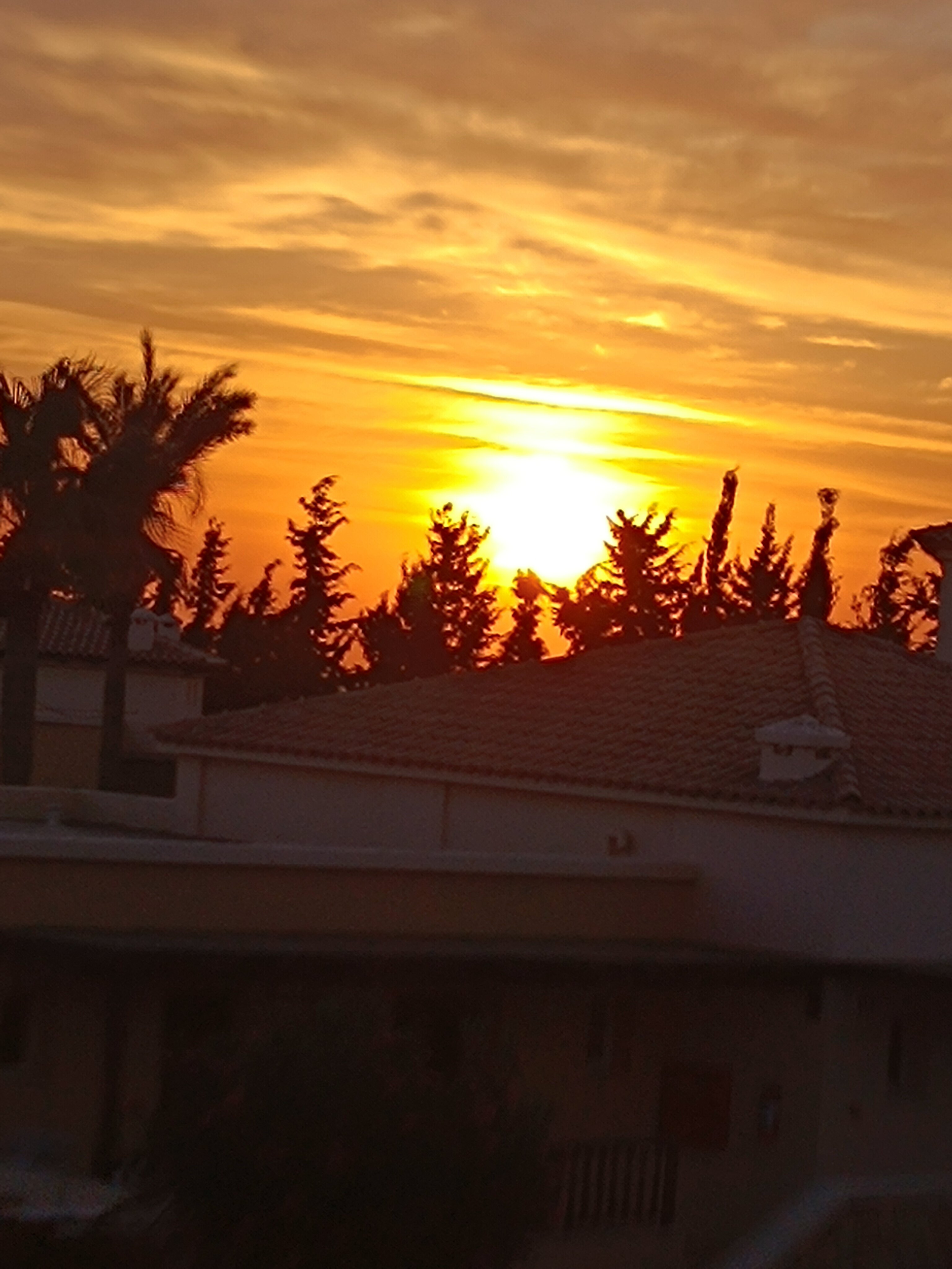Grecotel Luxme Kos-官方