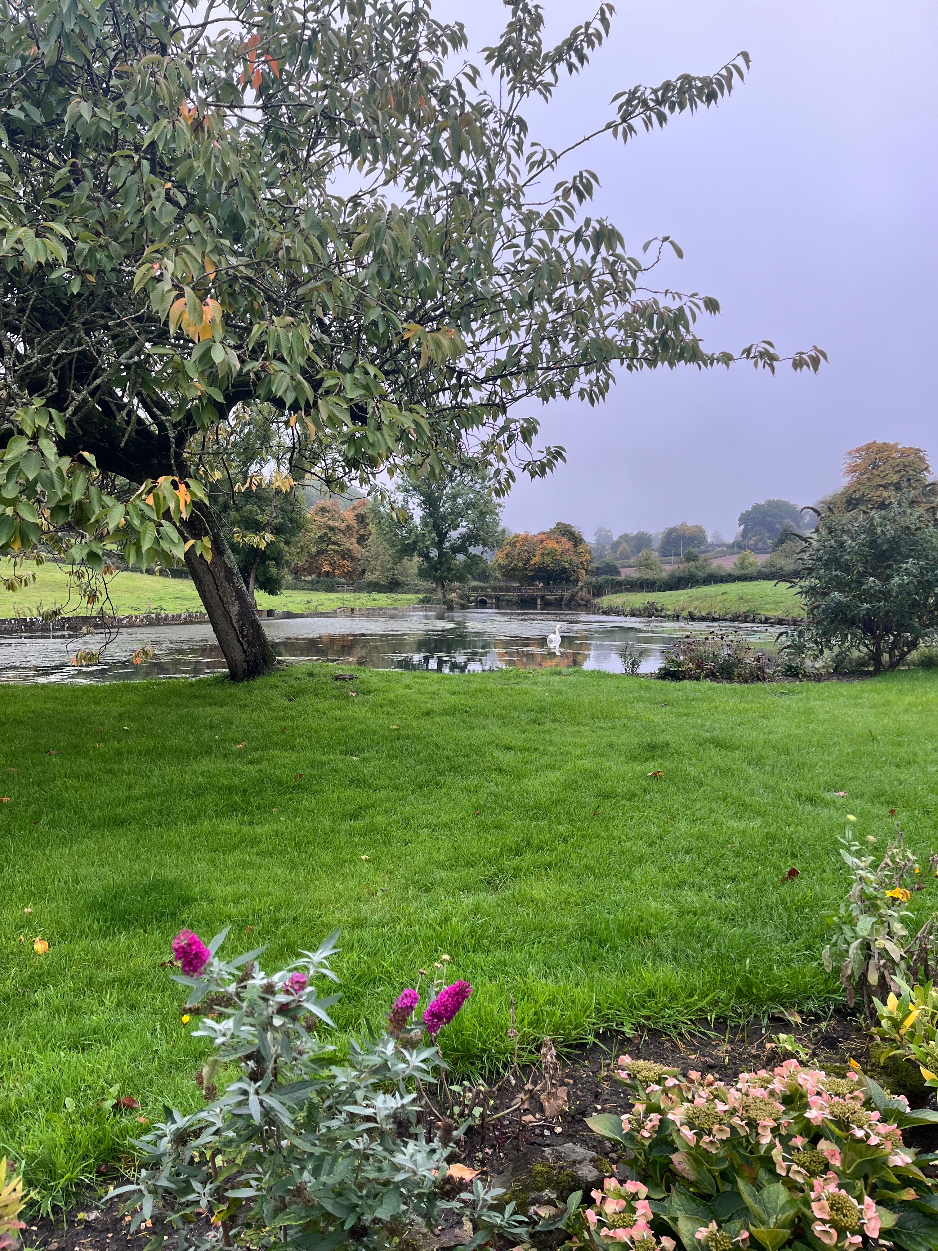 Mill Farm Horningsham-官方