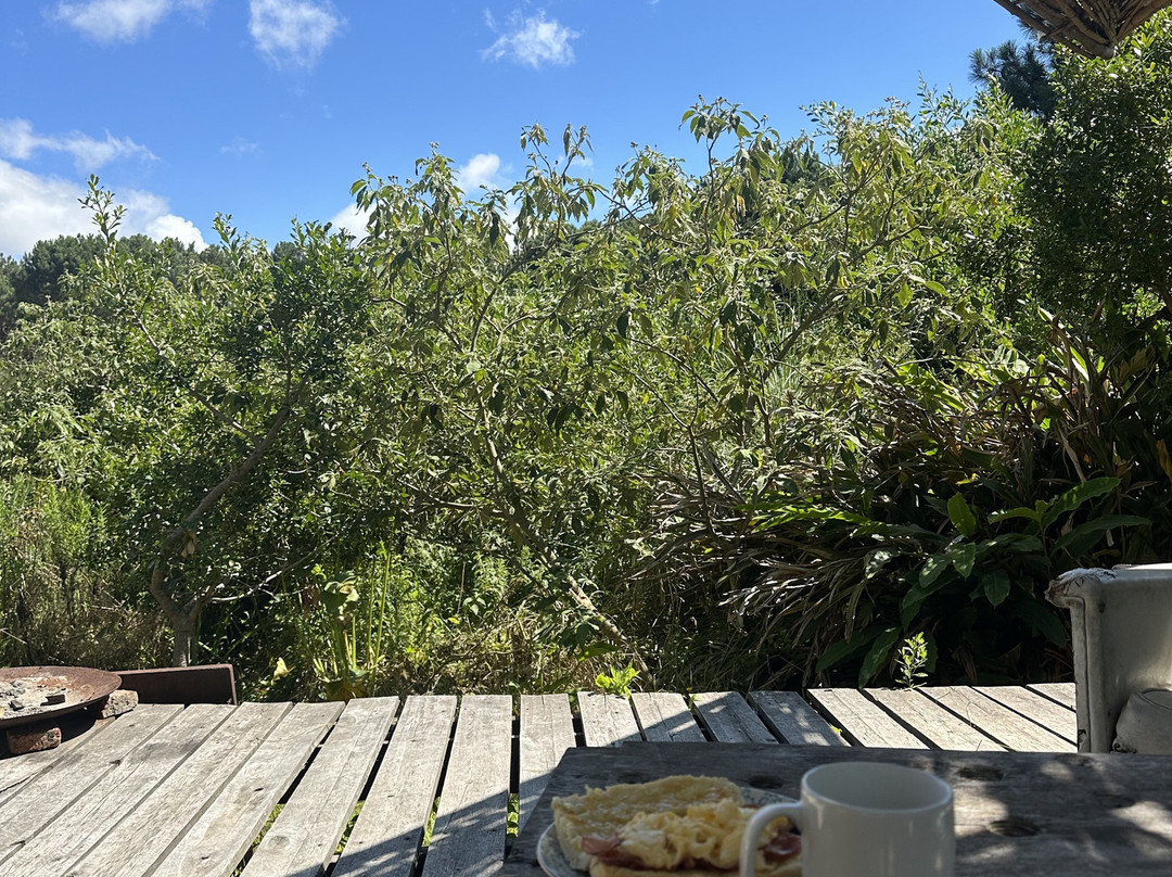 Treehouse Ecolodge