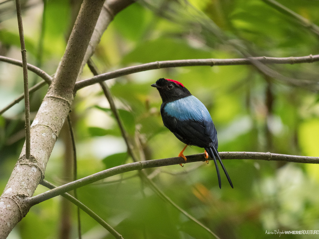 Ecological Sanctuary-圣埃伦娜必去景点