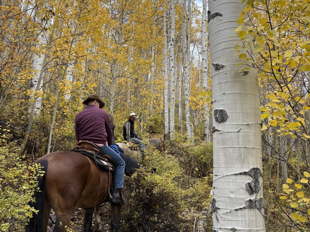 Vail Stables-韦尔必去景点