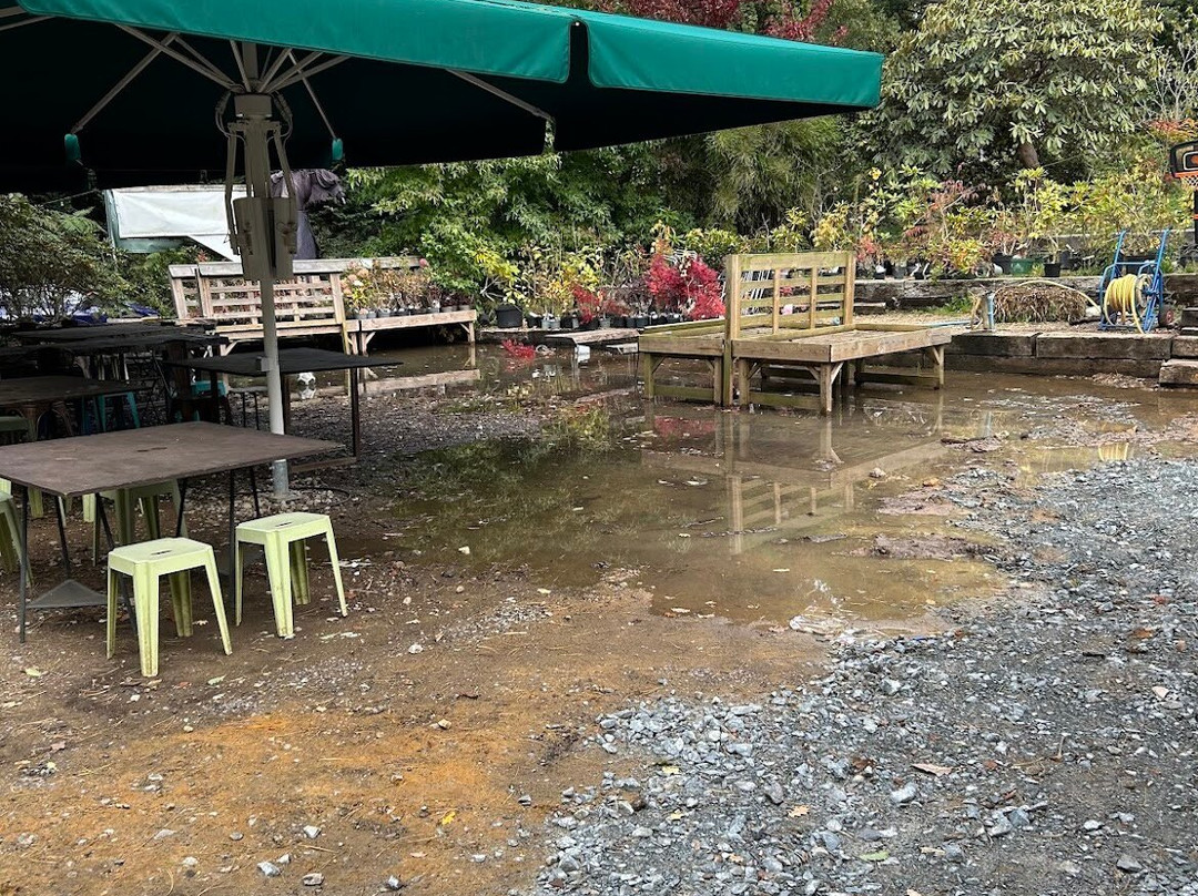 Reuthe's The Lost Gardens Of Sevenoaks-Sevenoaks必去景点