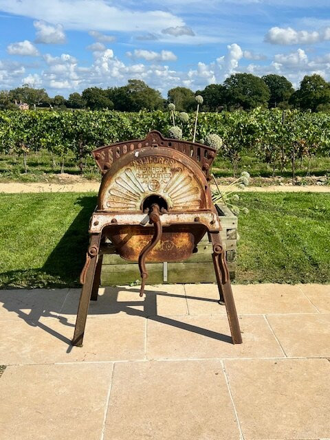 Kinsbrook Vineyard-Pulborough必去景点