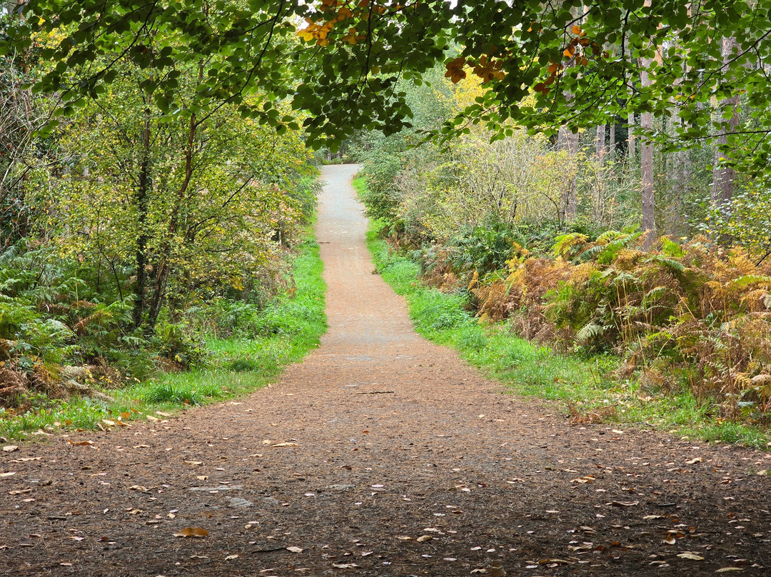 Delamere Forest-Delamere必去景点