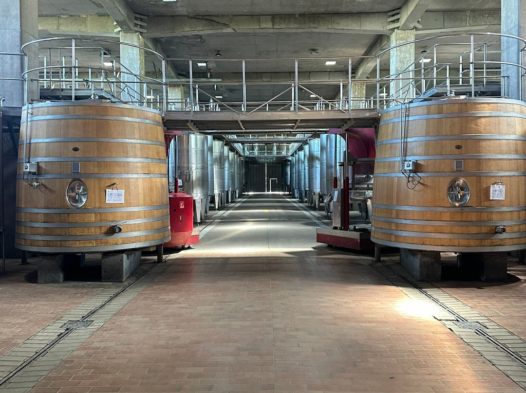 Vina Montes-圣克鲁斯必去景点