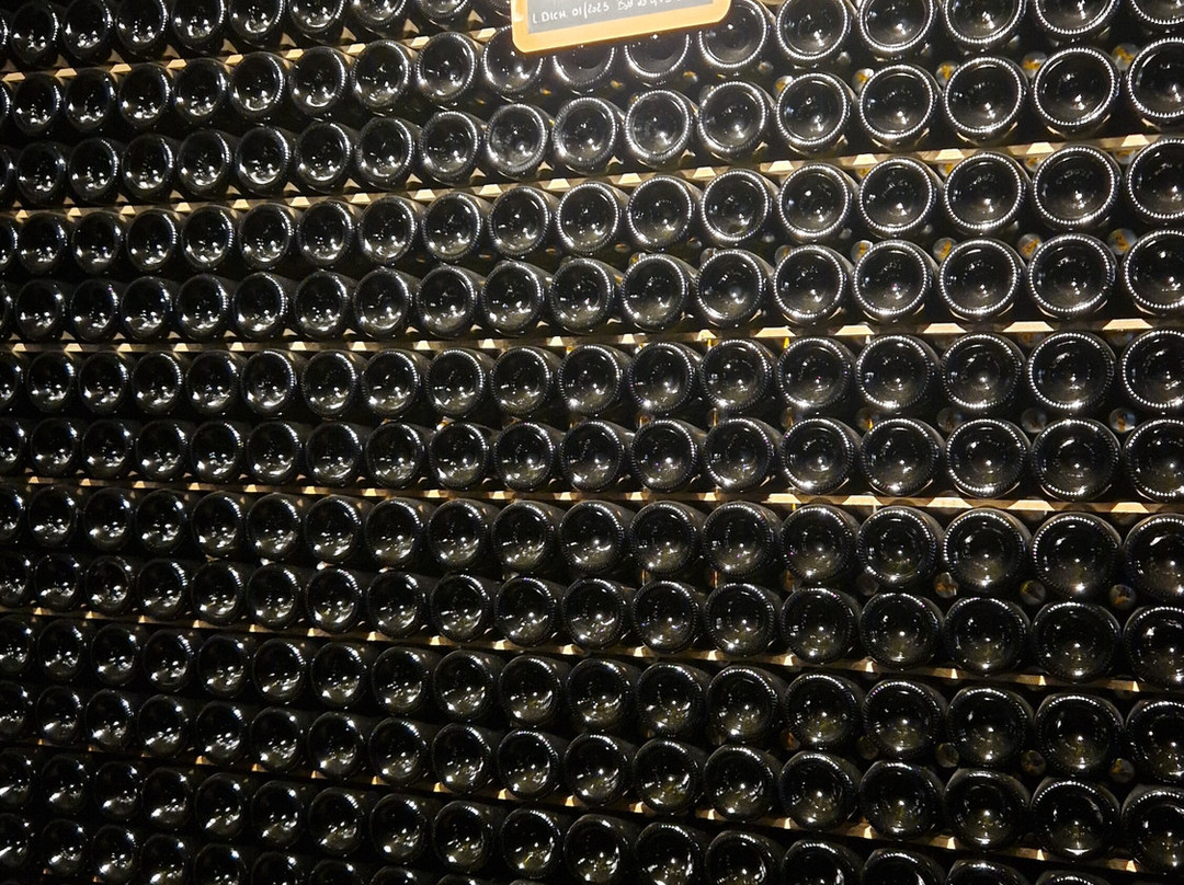 Tenuta & Agriturismo Ambrosini-Cazzago San Martino必去景点