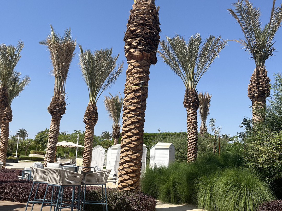 La Plage Beach Club-亚喀巴必去景点