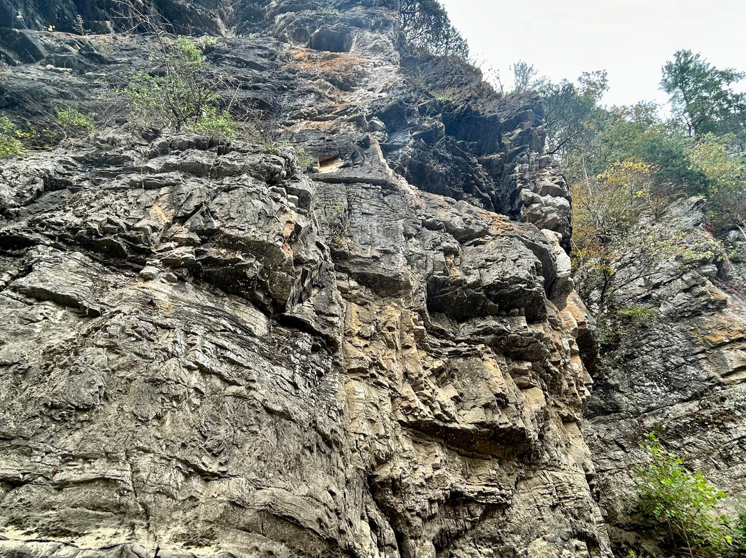 Twin River Outfitters-Buchanan必去景点