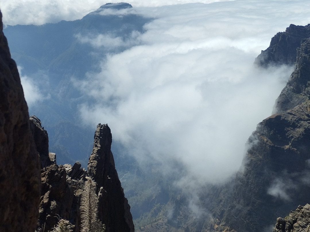 Observatorium Roque de Los Muchachos-La Palma必去景点