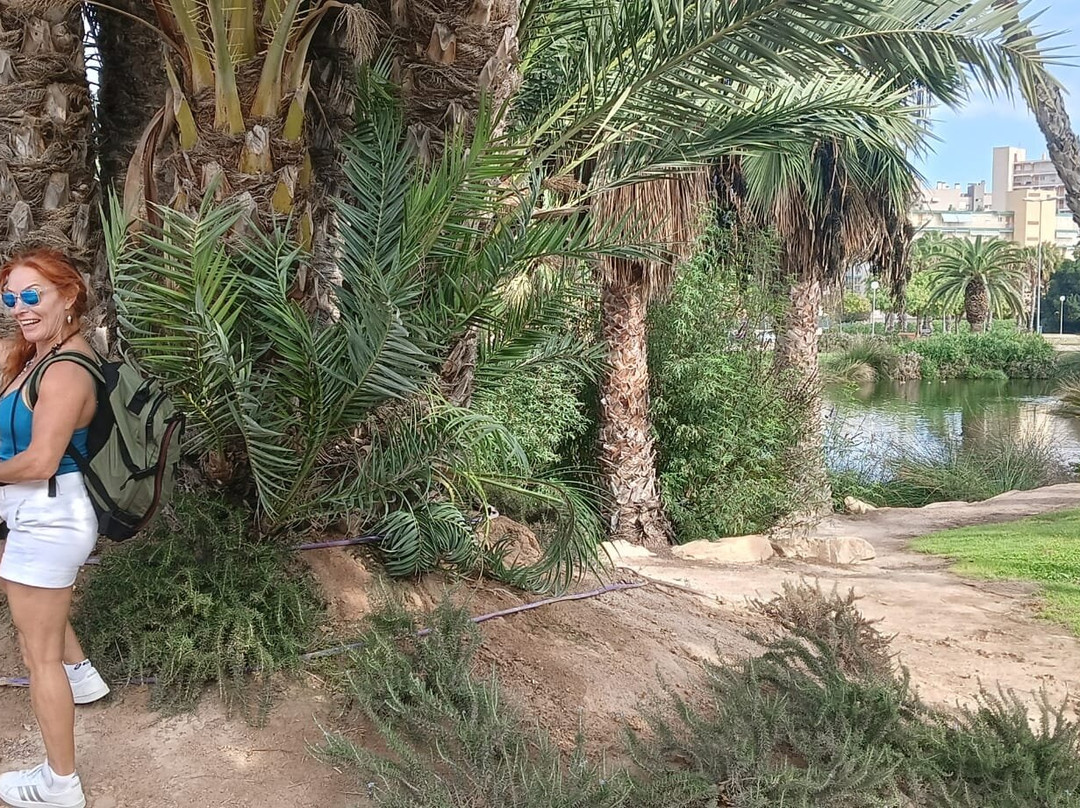 Adventure Hunt San Juan-阿利坎特必去景点