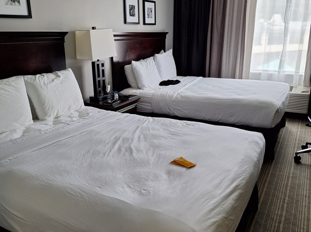 Country Inn & Suites by Radisson, Traverse City, MI主图