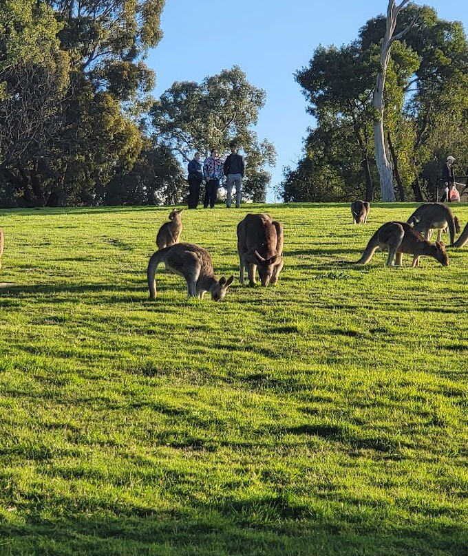 Westerfolds park-Templestowe必去景点