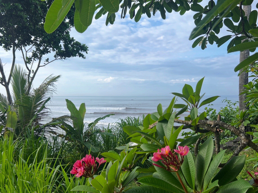 Pondok Pitaya: Hotel, Surfing and Yoga主图