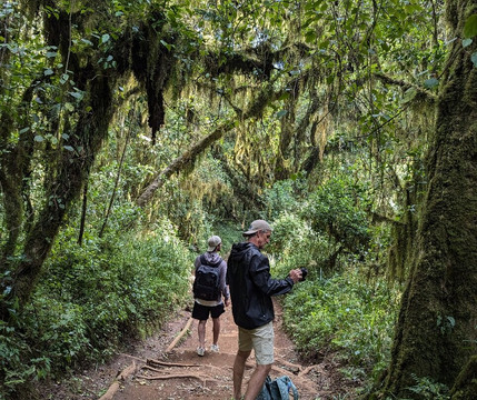 Kilita Tours & Safaris-莫西必去景点