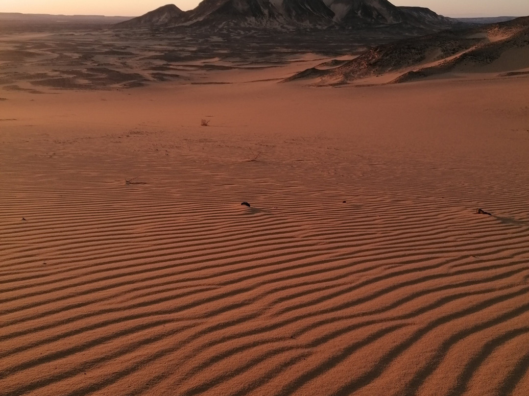 Egypt Camp White Desert-Bawiti必去景点
