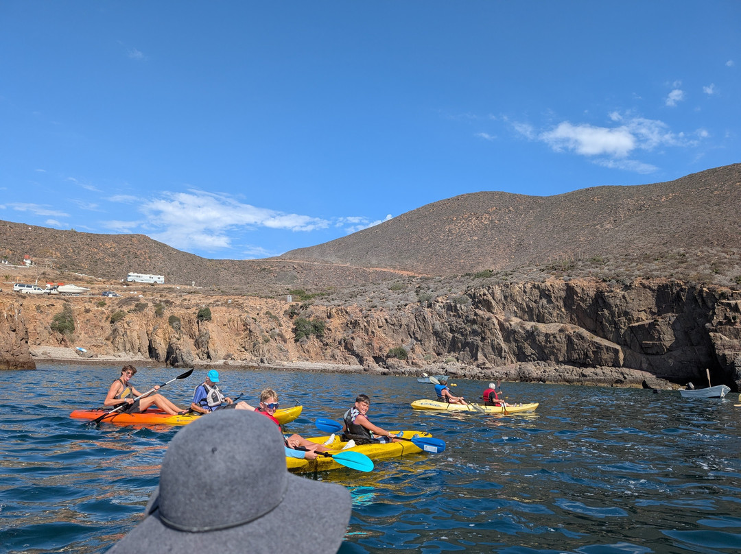 Baja Blue Diver-恩塞纳达必去景点