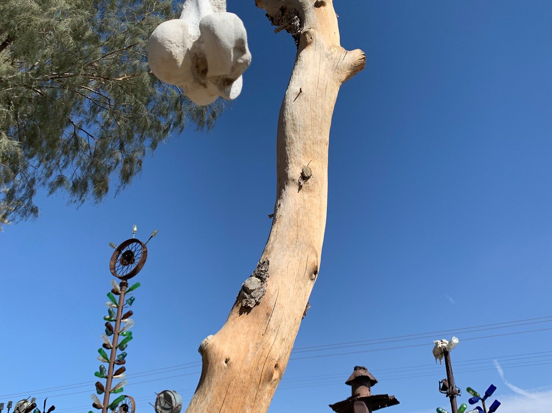 Elmer Long's Bottle Tree Ranch-Oro Grande必去景点