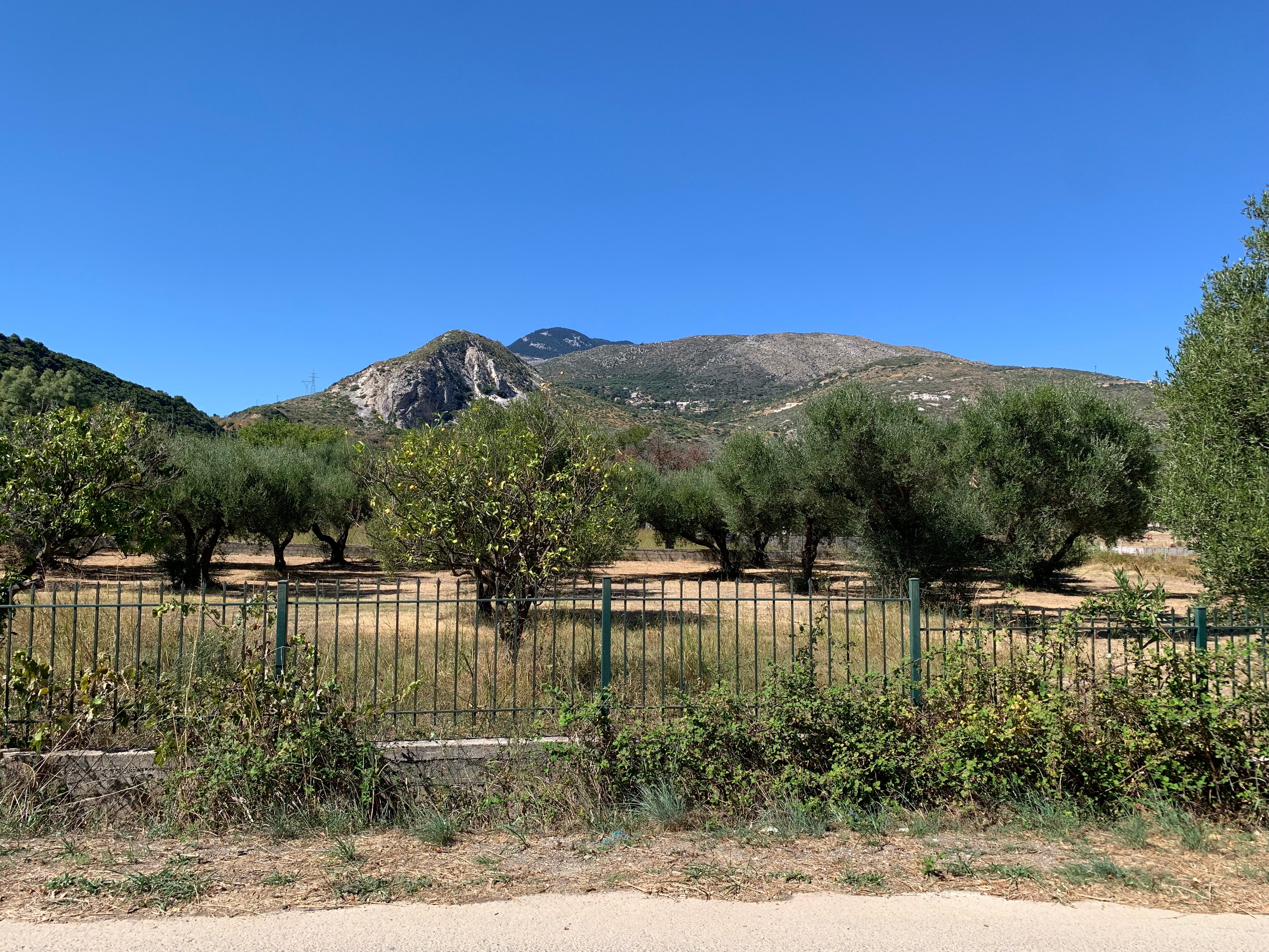 Filoxenia Apartments-官方