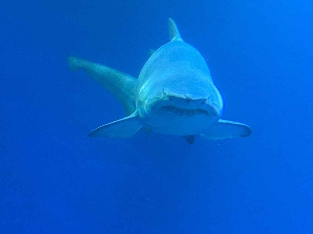 BQ安弗拉海滩酒店主图