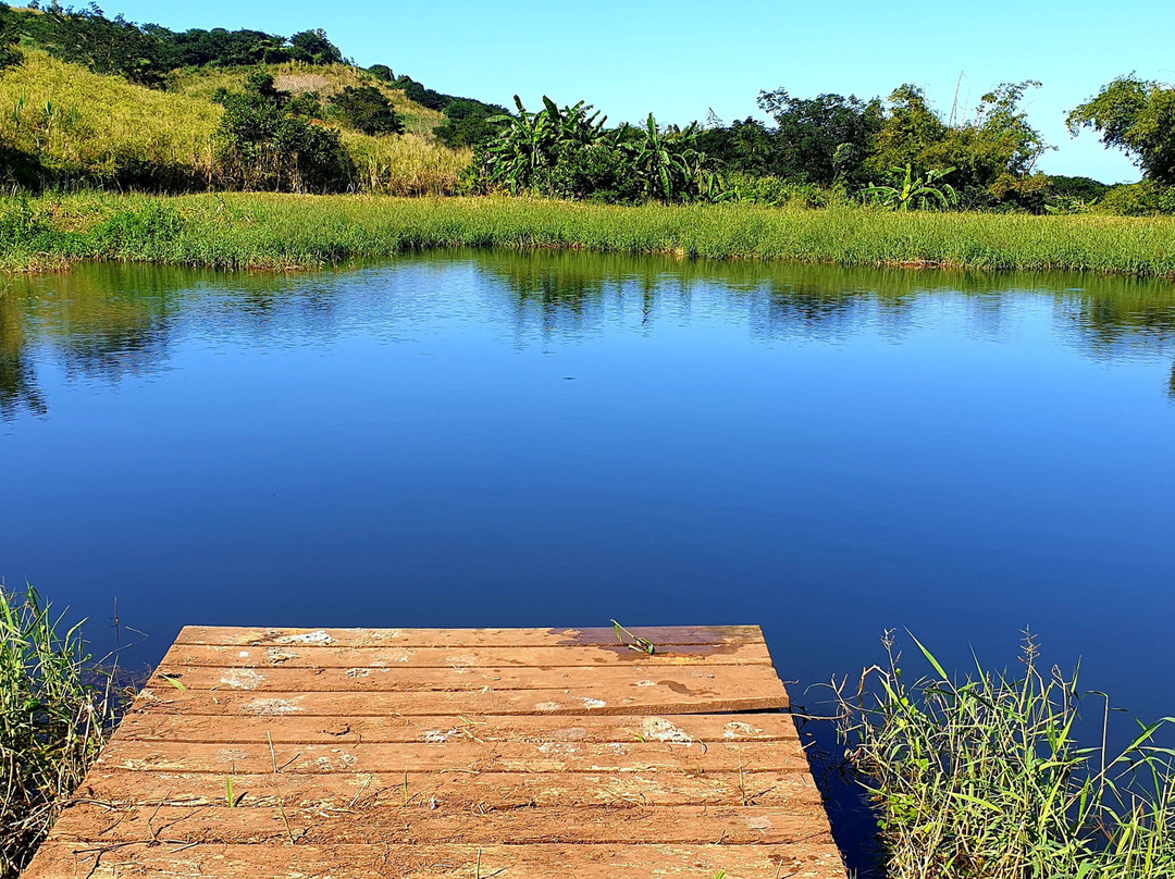 Terganic Farmstay-Bambous Virieux必去景点