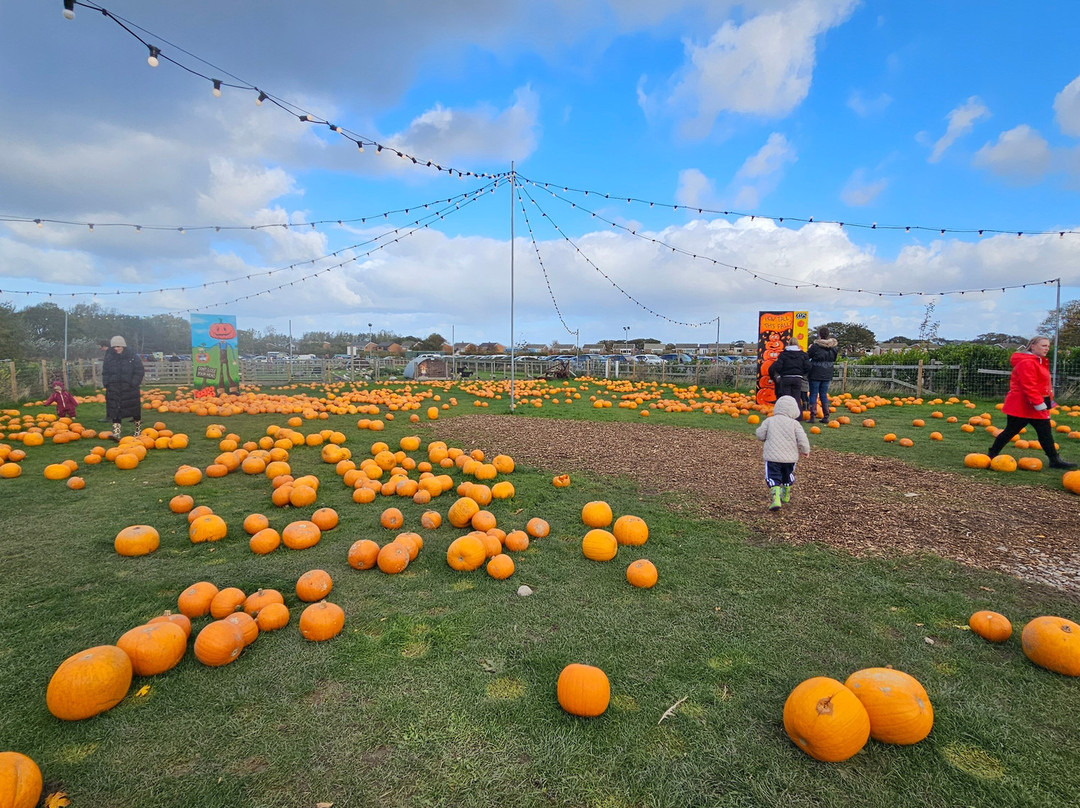 Manorafon Farm Park-Abergele必去景点
