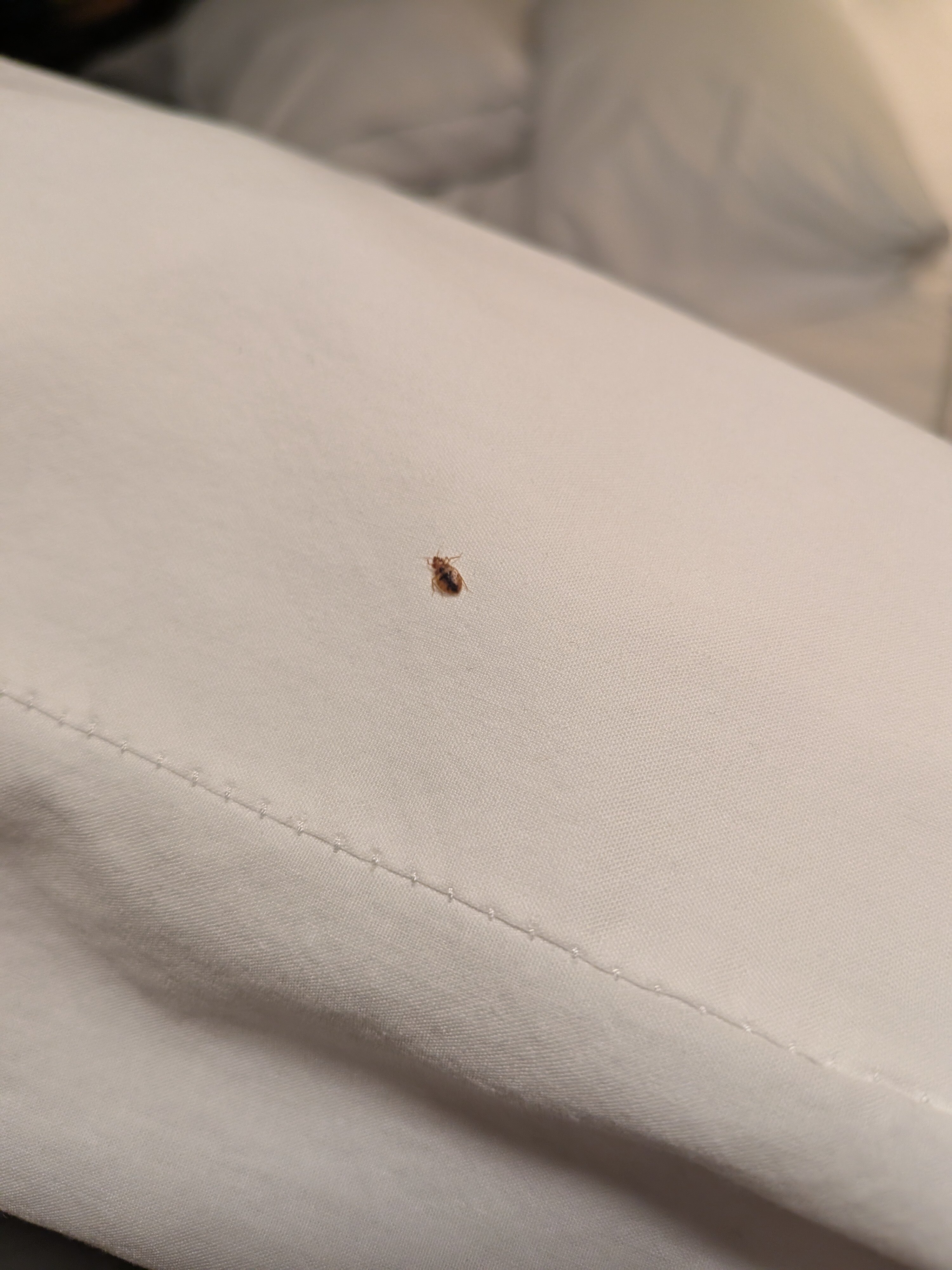 Vacationland Inn & Suites-官方