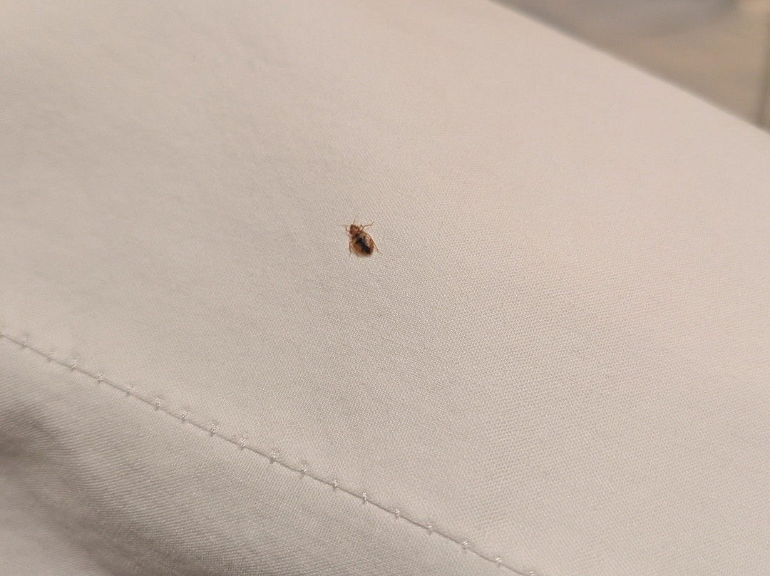 Vacationland Inn & Suites主图