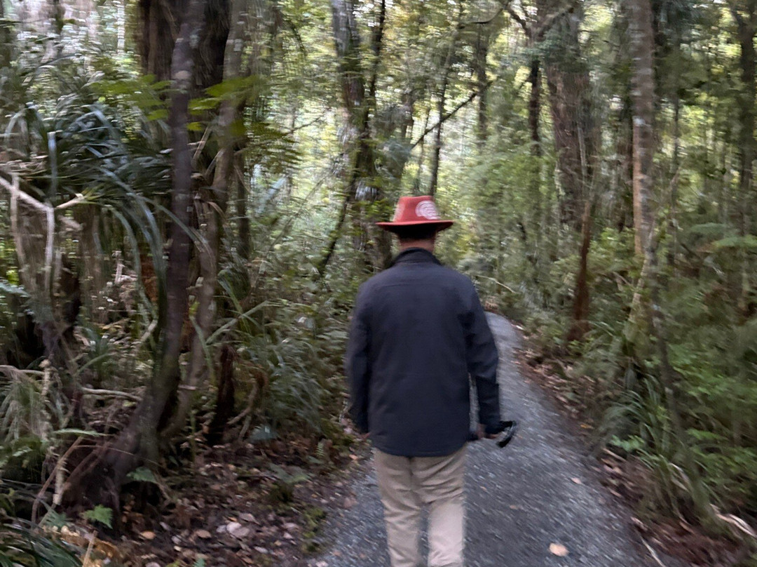 Footprints Waipoua-Waipoua Forest必去景点