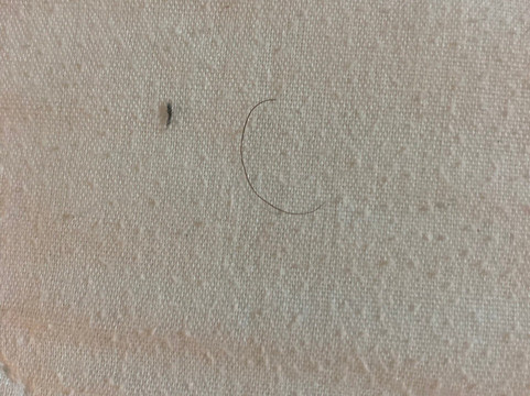 奇斯霍尔姆汽车旅馆主图