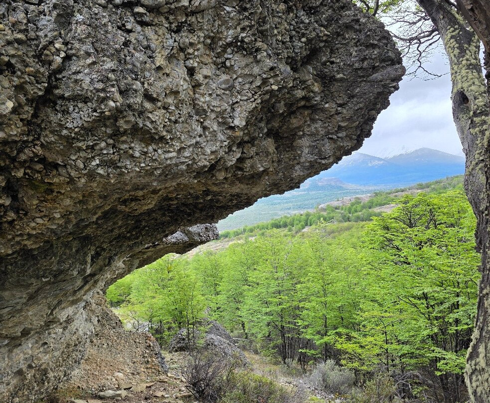 Tour Rupestre Patagonia-纳塔莱斯港必去景点