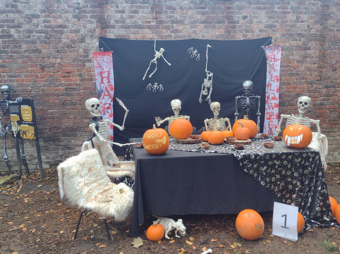 Sewerby Hall And Gardens-Sewerby必去景点