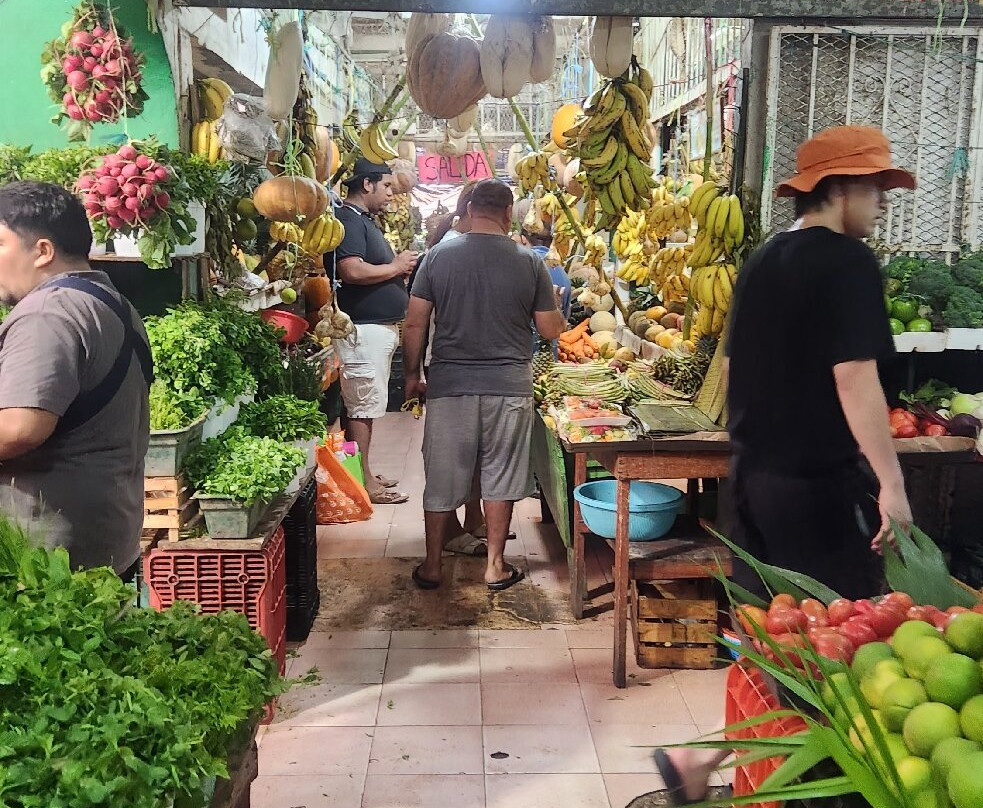 墨卡多23-坎昆必去景点