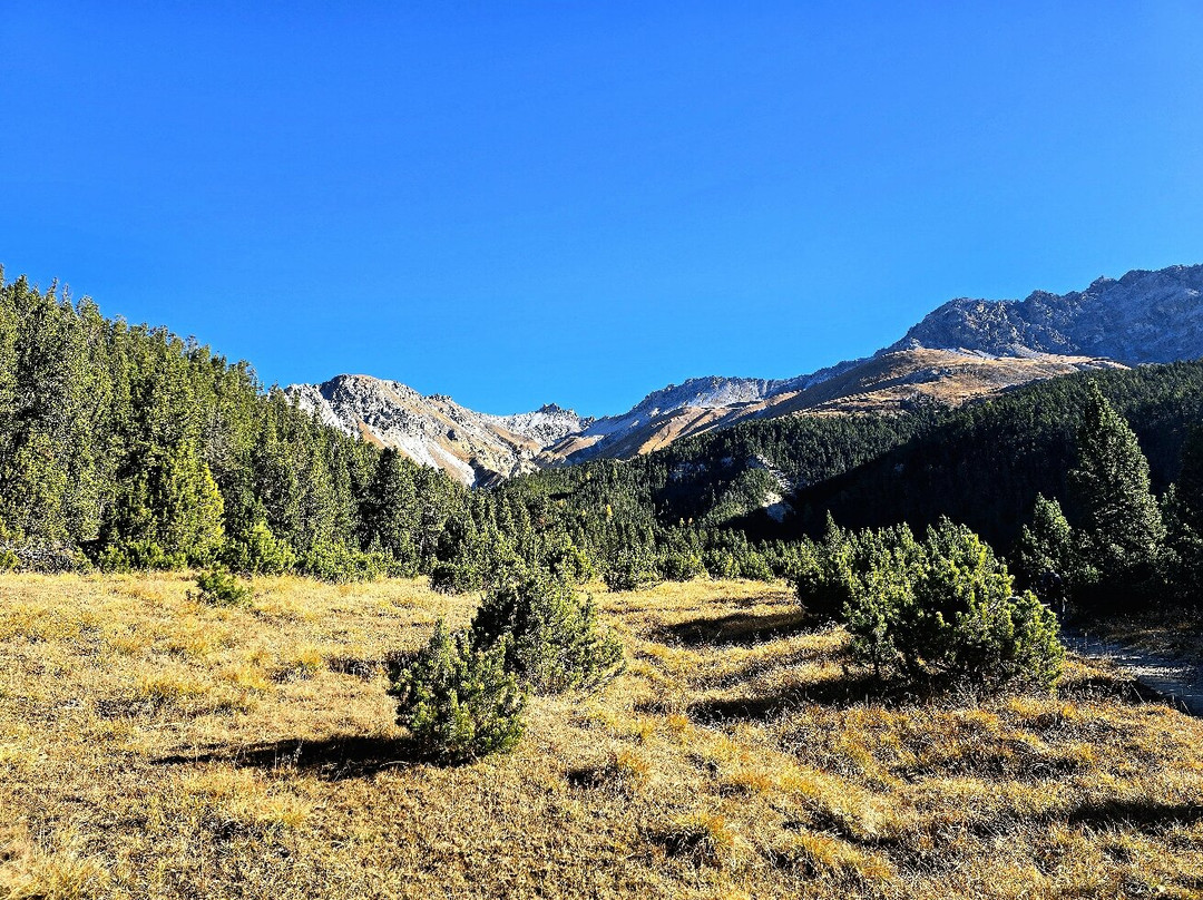Swiss National Park (Parc Naziunal Svizzer)-Zernez必去景点